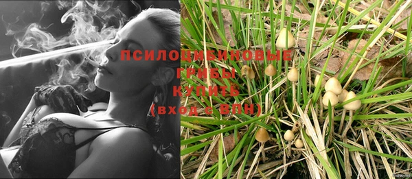 хмурый Алексеевка