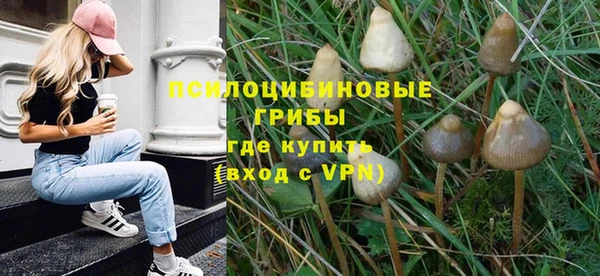 ПСИЛОЦИБИНОВЫЕ ГРИБЫ Наволоки