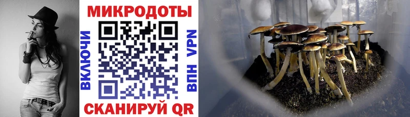 Псилоцибиновые грибы Psilocybine cubensis  продажа наркотиков  МЕГА сайт  Одинцово 